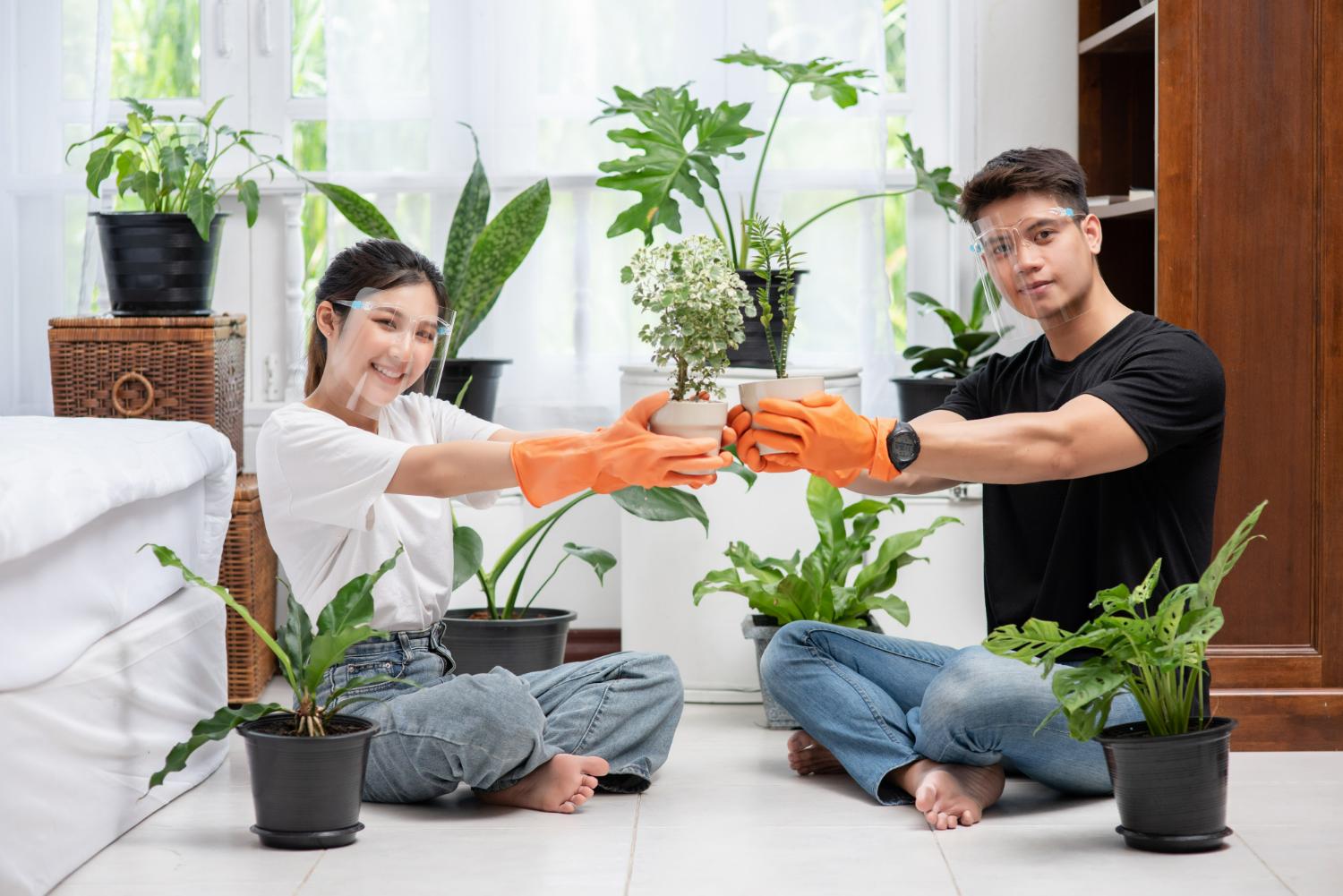 Clean Space, Clear Conscience: Eco-Friendly Facility Care